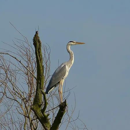 Apartmán Auf Der Stadtinsel *