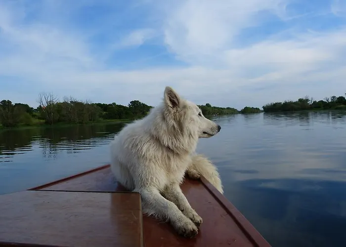 Apartmán Auf Der Stadtinsel