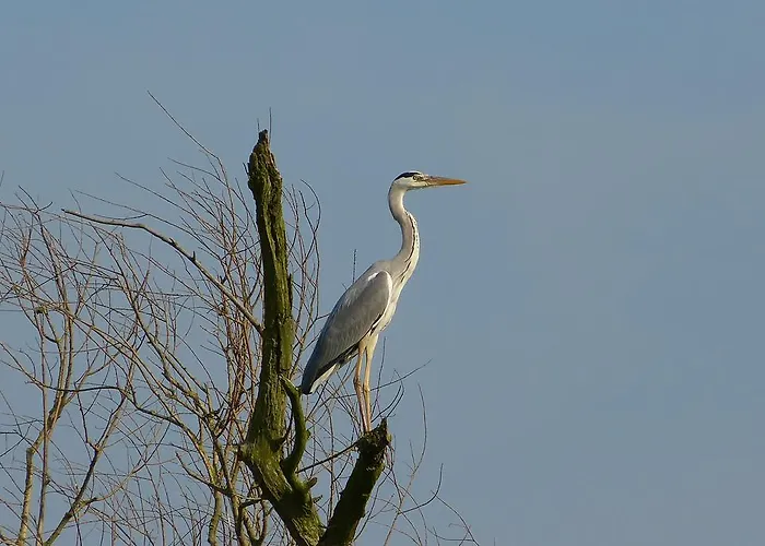 Apartmán Auf Der Stadtinsel *